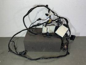 En8926b Bmw Bumper Parking Sensor Wire Harness With Modules And Sensors/camera Oem 886m