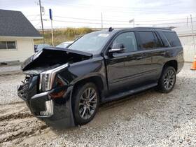 596-00900 Cadillac Camera/projector Camera Front Grille Mounted Fits 15-20 Escalade 512189