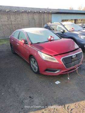 596-12400l Hyundai 16-17 Sonata Hy Left Camera Projector