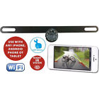 Tdwifibc2 Top Dawg Electronics License Plate Backup Color Camera 0603981465624