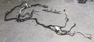Express 2007 5.3L At 2WD Engine Wire Harness 1157744. Fixed Price $240.00.