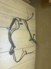 2019-2025 Nissan Altima Sensor Harness 24093-6CS0A. Fixed Price $39.00.