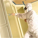 Trimaco Supertuff 28043 Anti-static Breathable Painter's Spray Suit, X-large, Wh. Fixed Price $29.84.