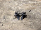 Mopar 6101455 Bolt Set Of 2 Dodge Ram Jeep. Fixed Price $14.95.