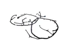 Genuine Mopar Rear Fascia Wiring 68613239AD. Fixed Price $216.70.