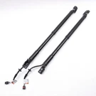 2013-2018 Hyundai Santa Fe Tailgate Power Lift Support Shock Strut Pair Oem -335. Fixed Price $190.00.