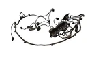 12-13 Lr Range Rover Evoque L538 Front Park Assist Pdc Sensor W/ Harness Oem. Fixed Price $225.50.
