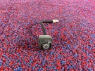 Cadillac CT5 Awd 2.0L Turbo 20-23 Oem Rear Back Up View Park Assist Camera 35K. Fixed Price $89.99.
