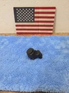 2019-2023 Dodge Ram 1500 Oem Parking Aid Assist Sensor 6YD85TRMAB 5TH Gen. Fixed Price $34.95.