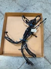2023-2024 Cadillac Escalade V Front Wiring Harness New Oem Gm 86554101. Fixed Price $199.99.