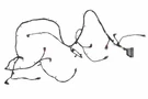 Genuine Gm Front Object Alarm Sensor Wiring Harness 85156054. Fixed Price $133.95.