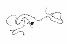 Genuine Gm Front Object Alarm Sensor Wiring Harness 84813513. Fixed Price $121.17.