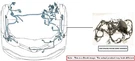 Engine Room Harness Oem 2016 Ford C-max. Fixed Price $200.00.