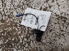 2024, Subaru Ascent, Rear Camera Projector, Part Number: 86267XC10A. Fixed Price $99.99.