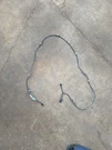 06-08 Lexus IS250/350 Front Bumper Parking Sensors Wiring Loom Only 82114-53020B. Fixed Price $59.99.
