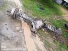 Rear Axle Differential Assembly Oem 15-19 Chevrolet SILVRDO25 1YR Wrnty. Fixed Price $1250.00.