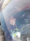 Camera/projector Head-up Display Fits 12-15 Bmw 740I 3172194. Fixed Price $189.89.