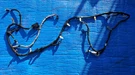 20-21 Ford Escape Rear Bumper Wiring Harness LX6Z-15K868-C Oem. Fixed Price $69.95.