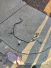 2006-11 Cadillac Dts Lucerne Front Bumper Park Assist Sensor & Wire Harness Oem. Fixed Price $100.00.