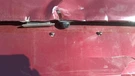 Camera/projector Liftgate Mounted Fits 19-21 Tucson 31891861. Fixed Price $134.07.